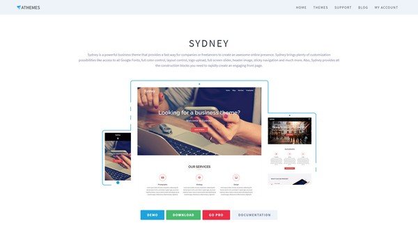 Sydney is a clean and high-end free WordPress theme from aThemes.