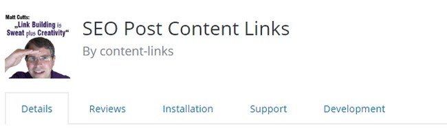 With the SEO Post Content Links plugin, you can connect one page to another.