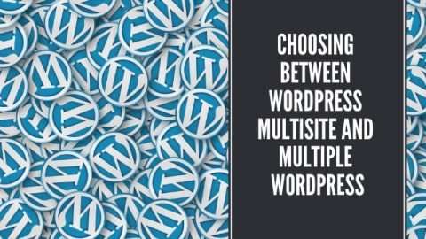 Choosing between WordPress Multisite and Multiple WordPress
