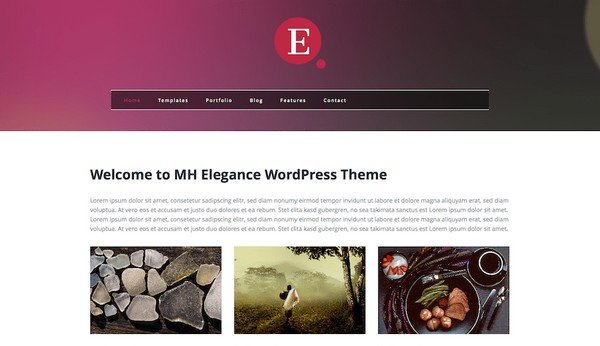 MH Elegance is a beautiful WordPress theme for any startups. 