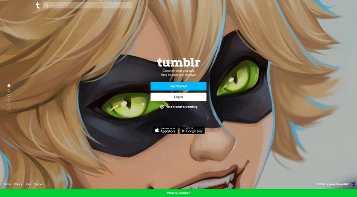 Best CMS WordPress Alternatives - Tumblr allows you to post multimedia and other content in the form of short-form blogs.