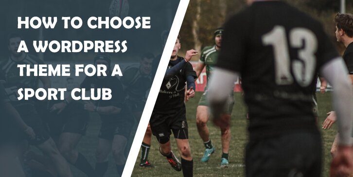 How to Choose a WordPress Theme for a Sport Club