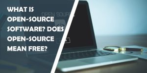 What does open source mean?