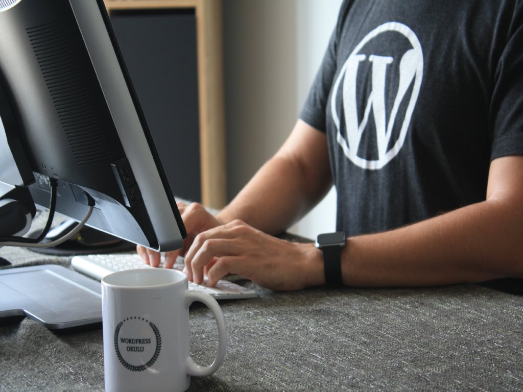 The guy with the WordPress logo T-shirt is writing a blog