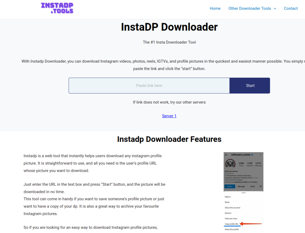 InstaDP Instagram Reels Downloader landing page