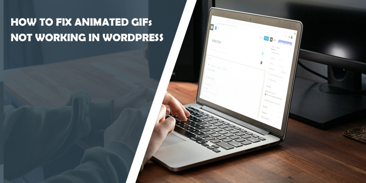 How to Fix Animated GIFs Not Working in WordPress