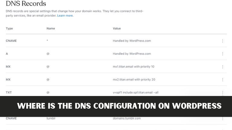 Where is the DNS Configuration on WordPress