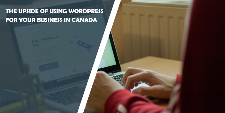 The Upside of Using WordPress For Your Business in Canada    