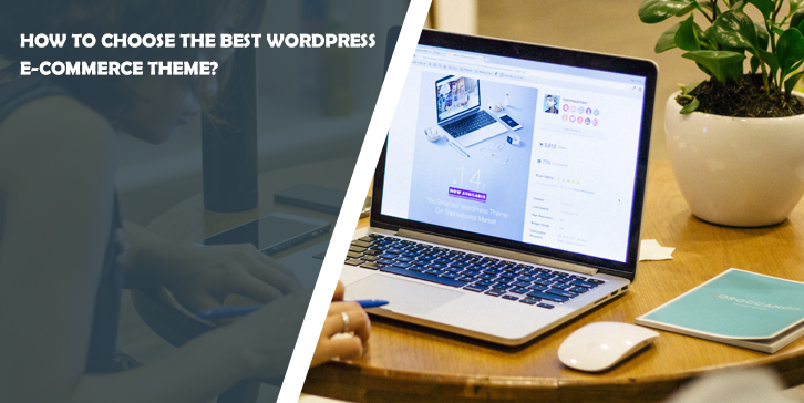 How to choose the best WordPress e-commerce theme?