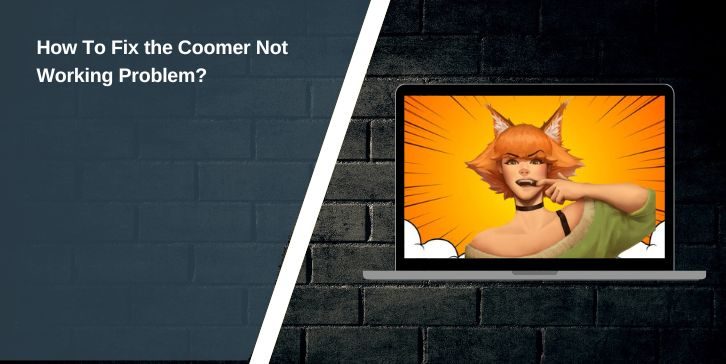 How To Fix the Coomer Not Working Problem?