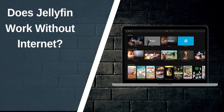 Does Jellyfin Work Without Internet?