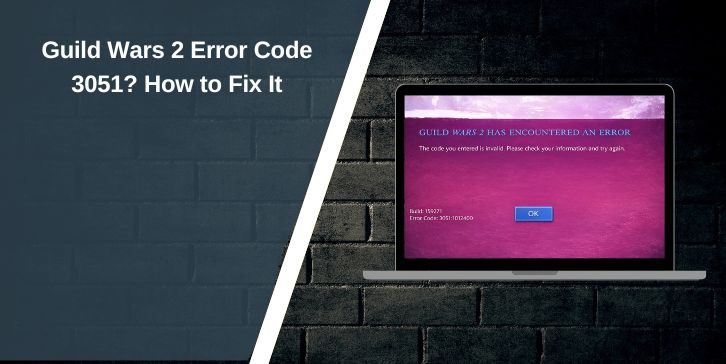 Guild Wars 2 Error Code 3051? How to Fix It